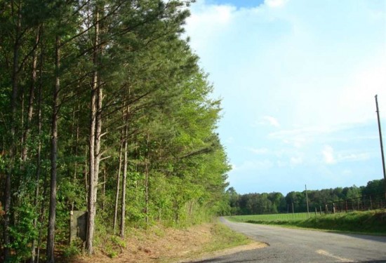 115 Acres of Land for Sale in rankin County Mississippi