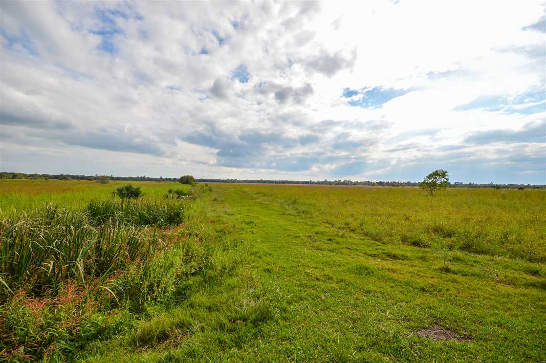 Waterfowl Hunting Land - The Boondocks Real estate listing