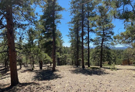 0.5 Acres of Land for Sale in teller County Colorado