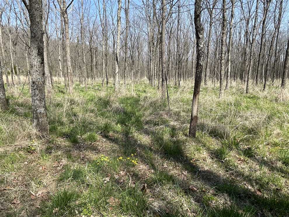29 Acres of Recreational land for sale in Dillsboro, ohio County, Indiana