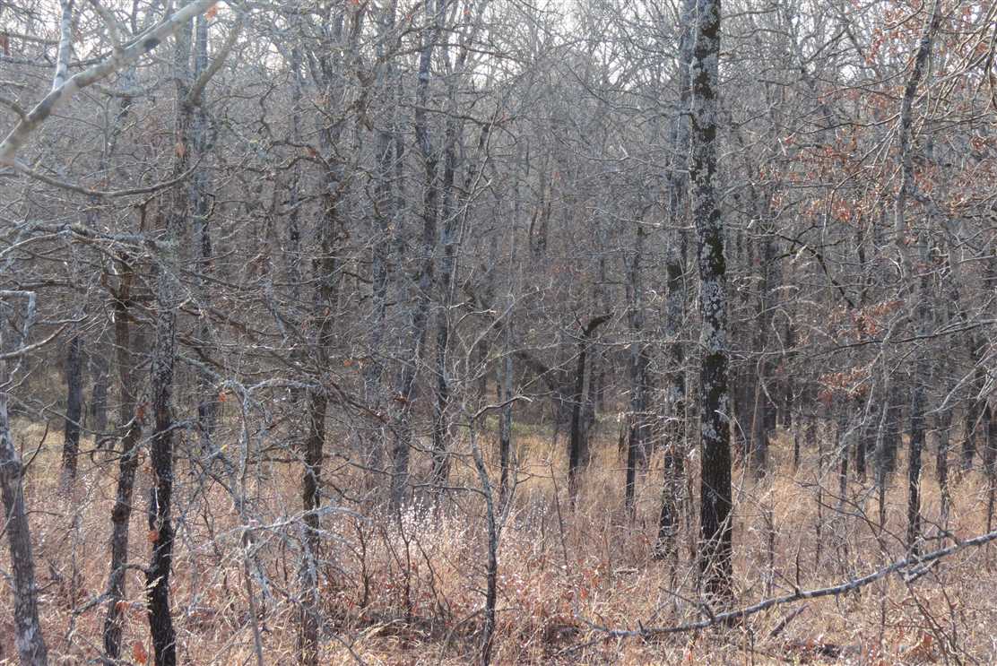 Land for sale to buy in 74525 zip code