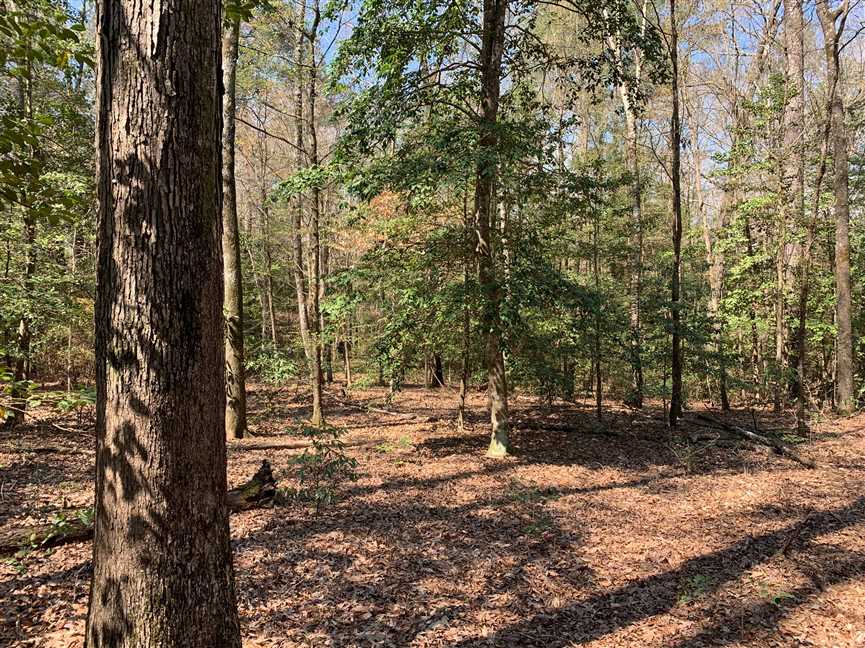 17 Acres of Land for sale in union County, Louisiana
