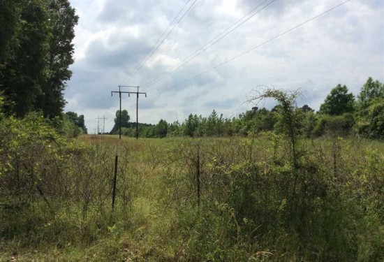 35.1 Acres of Land for Sale in winn County Louisiana