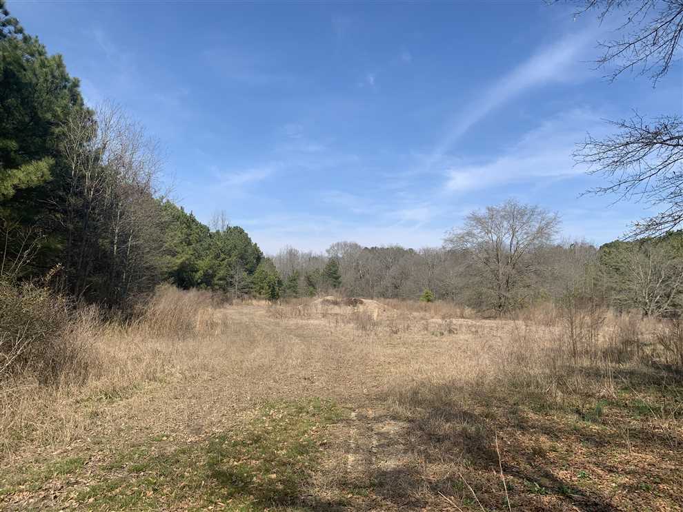 56.94+/- acres in Morven, Anson County Real estate listing