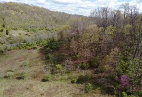 21 Acres of Land for Sale in dearborn County Indiana