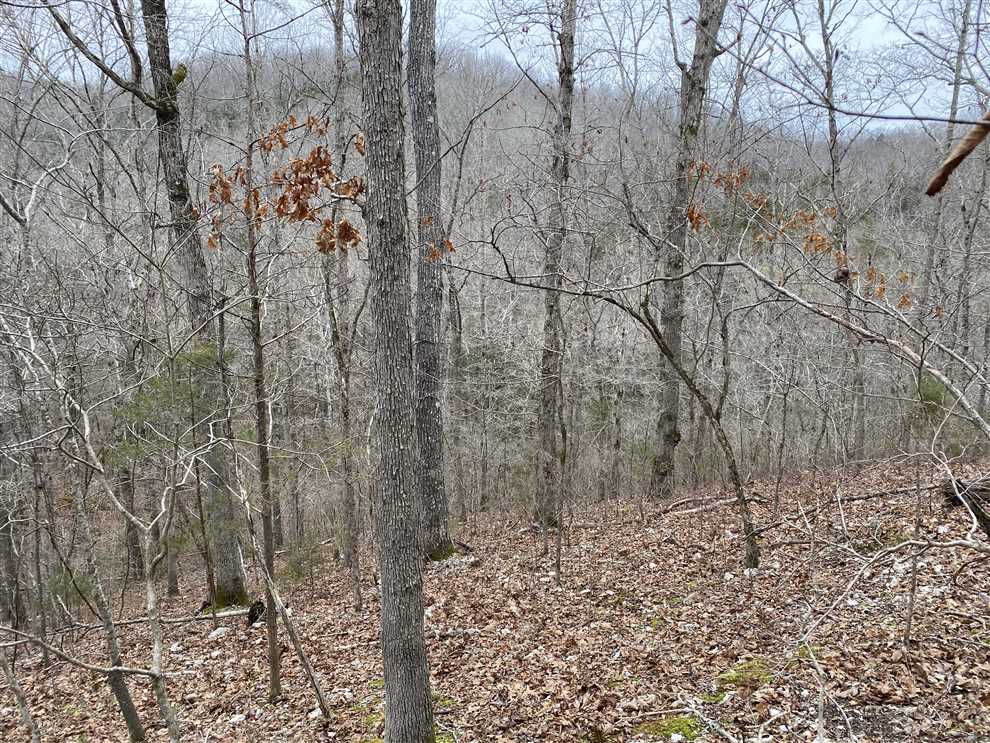 Turkey Ridge 38 Real estate listing
