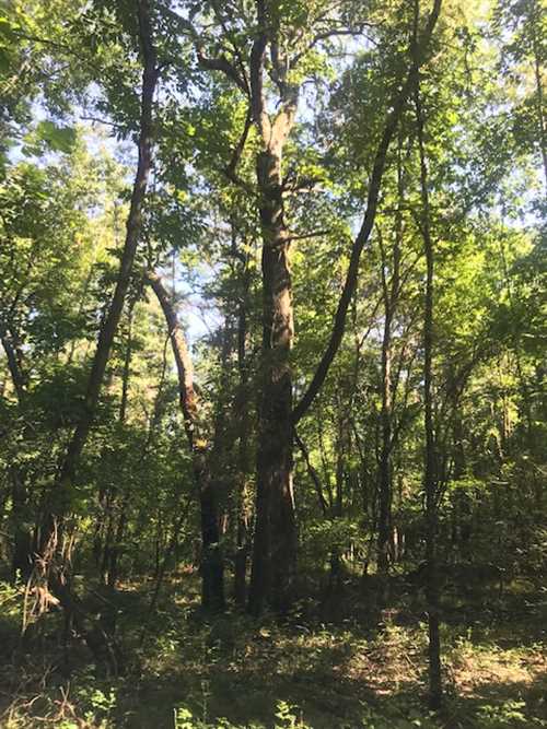 Land for sale at Hwy 46