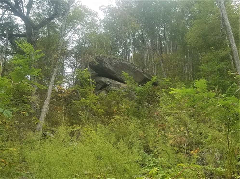 Land for sale at 0 Conleys Creek Road