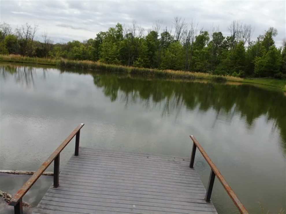 141 Acres of Land for Sale in ohio County, Indiana