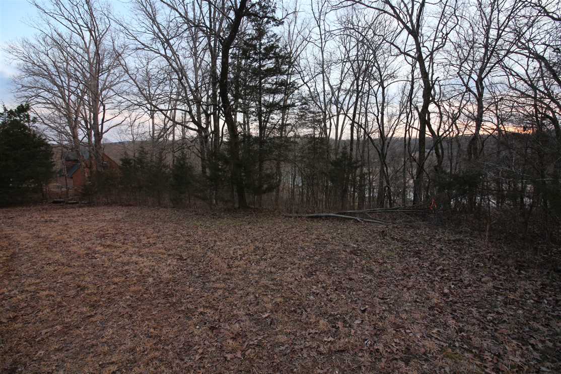1 Acres of Residential land for sale in Van Buren, carter County, Missouri