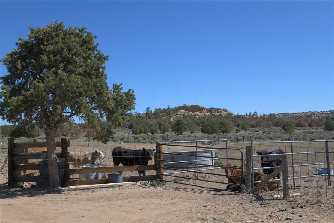 Continental Divide Hunting Ranch (640) Real estate listing