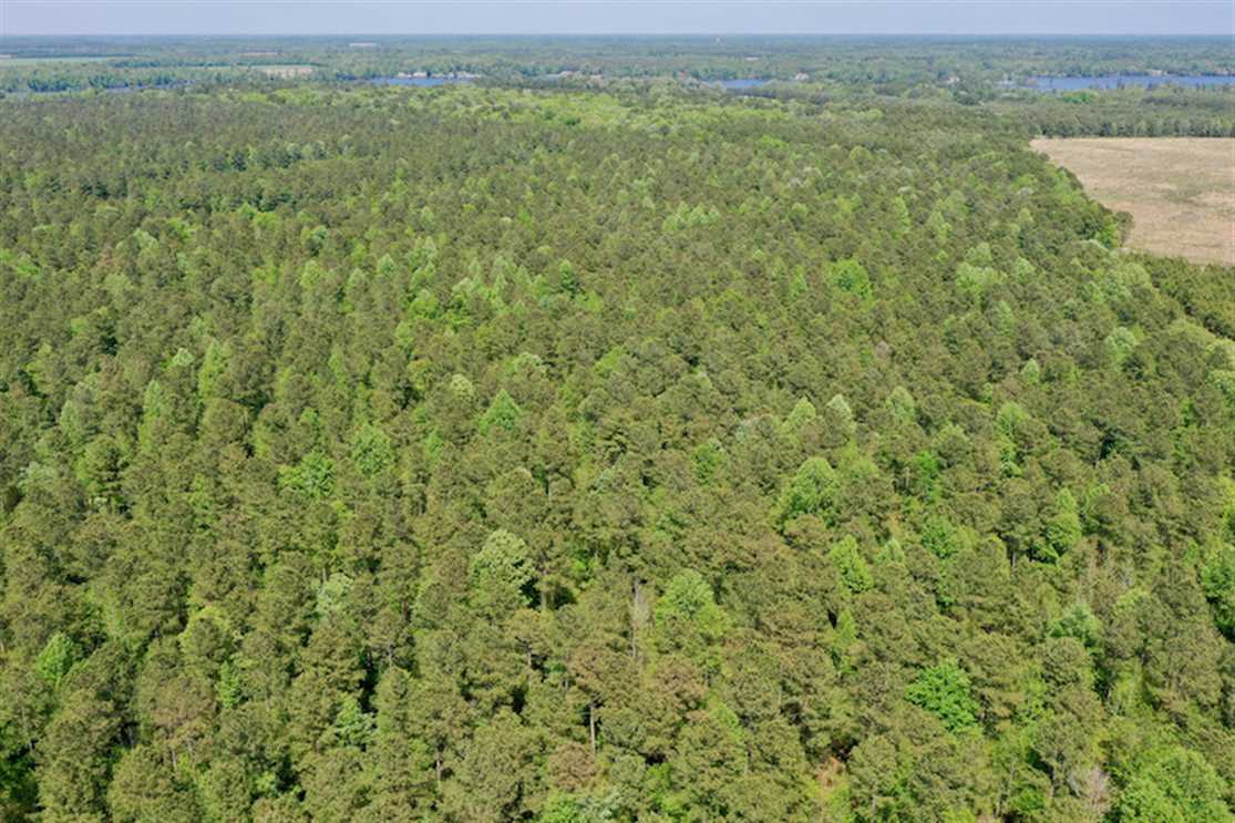 Land for sale at 428 Batt's Island Road