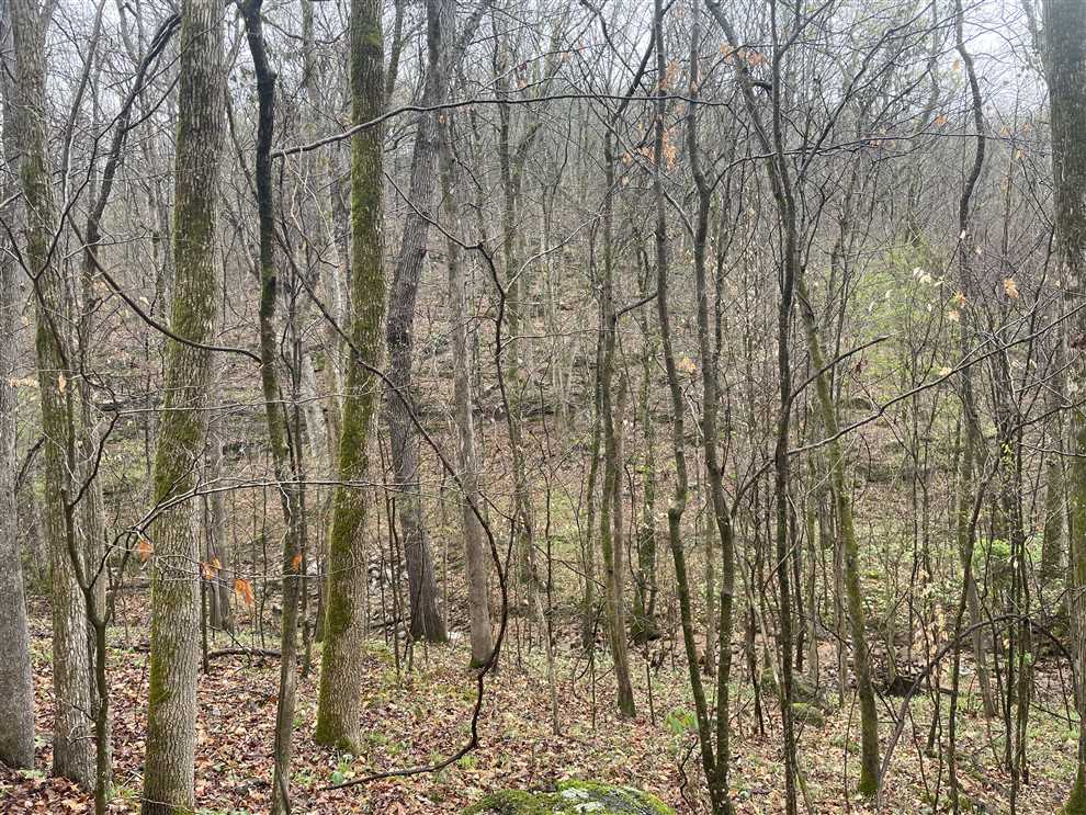 156 Acres of Land for sale in marshall County, Alabama