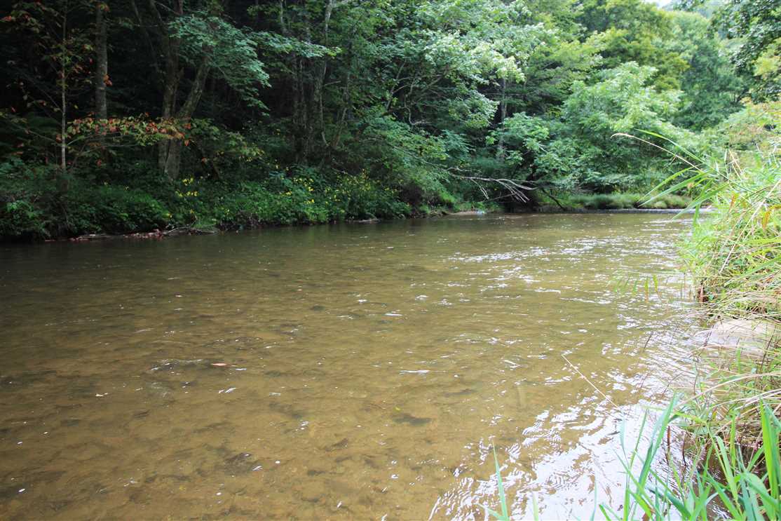 81.94+/- Acres in Lansing, Ashe County Real estate listing