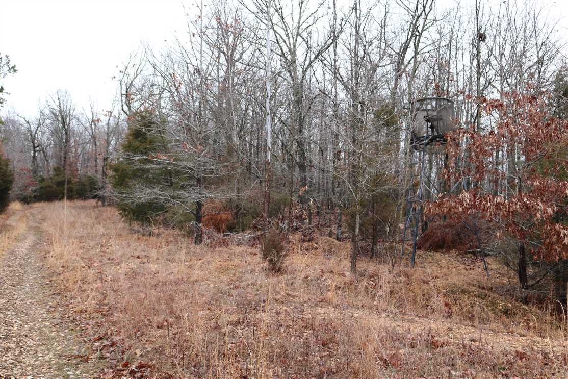 Residential and   property for sale on The Land Market