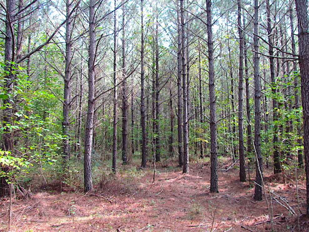 southampton County, Virginia property for sale