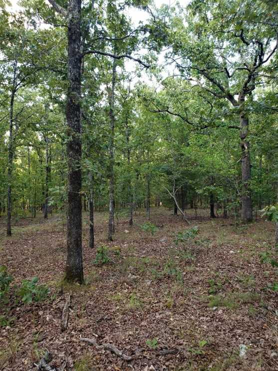 Property for sale at 00 Canton Drive `