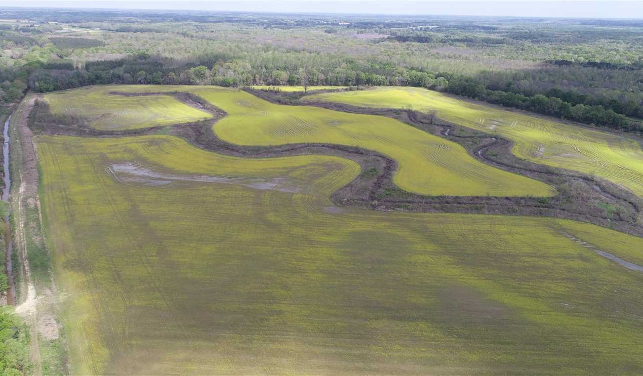 329 Acres, Itawamba County Real estate listing