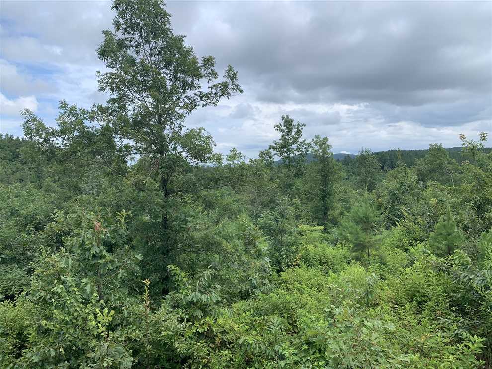 Recreational and   property for sale on The Land Market