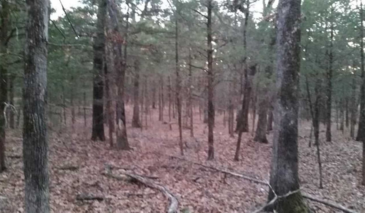Land for sale to buy in 74536 zip code
