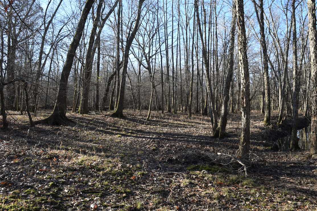Land for sale to buy in 72167 zip code