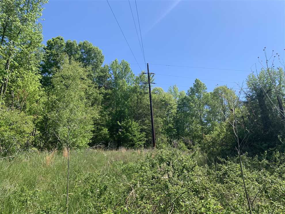 Land for sale at TBD Whites Memorial Road