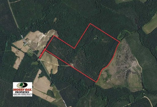 144 Acres of Land for Sale in halifax County North Carolina