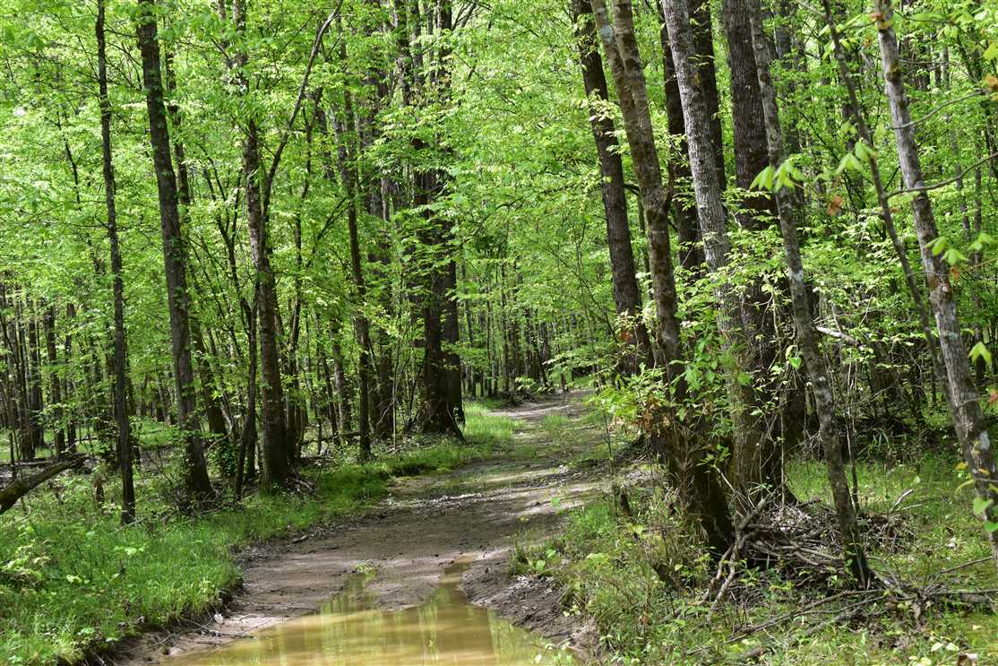 Land for sale at Nevada County Road 23