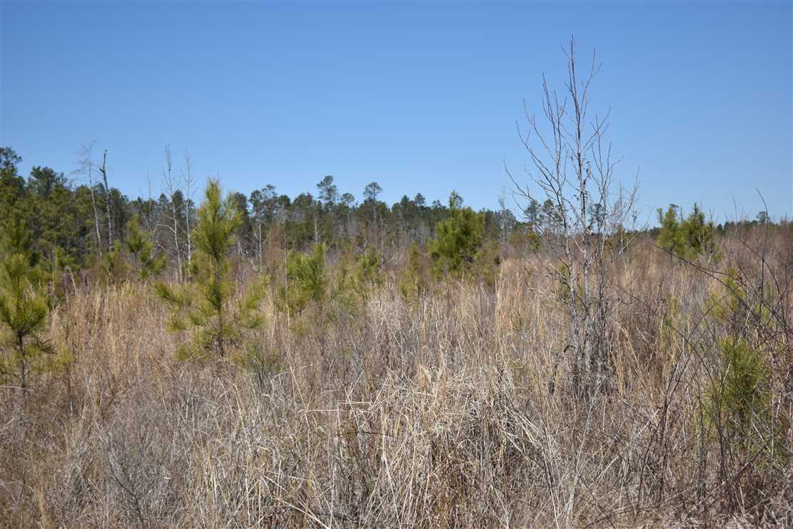 Land for sale at Bradley 157
