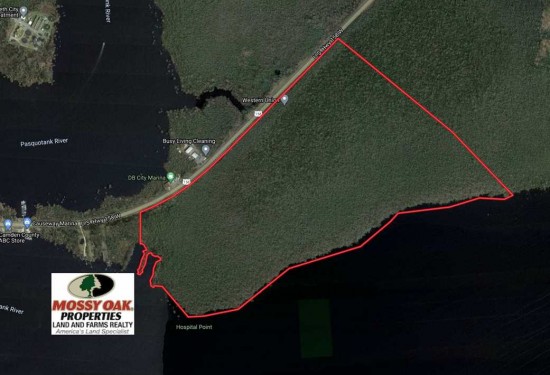 320 Acres of Land for Sale in camden County North Carolina