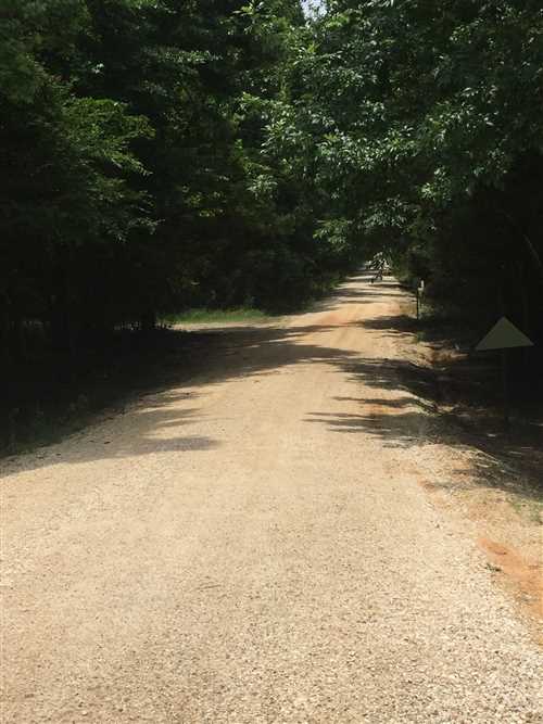 Timberland real estate available to buy
