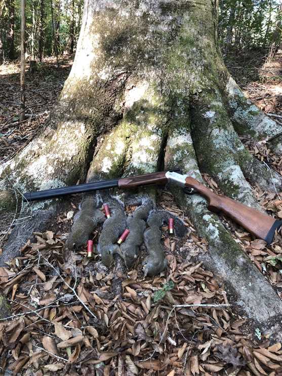 236 Acres of Recreational land for sale in Columbia, caldwell County, Louisiana