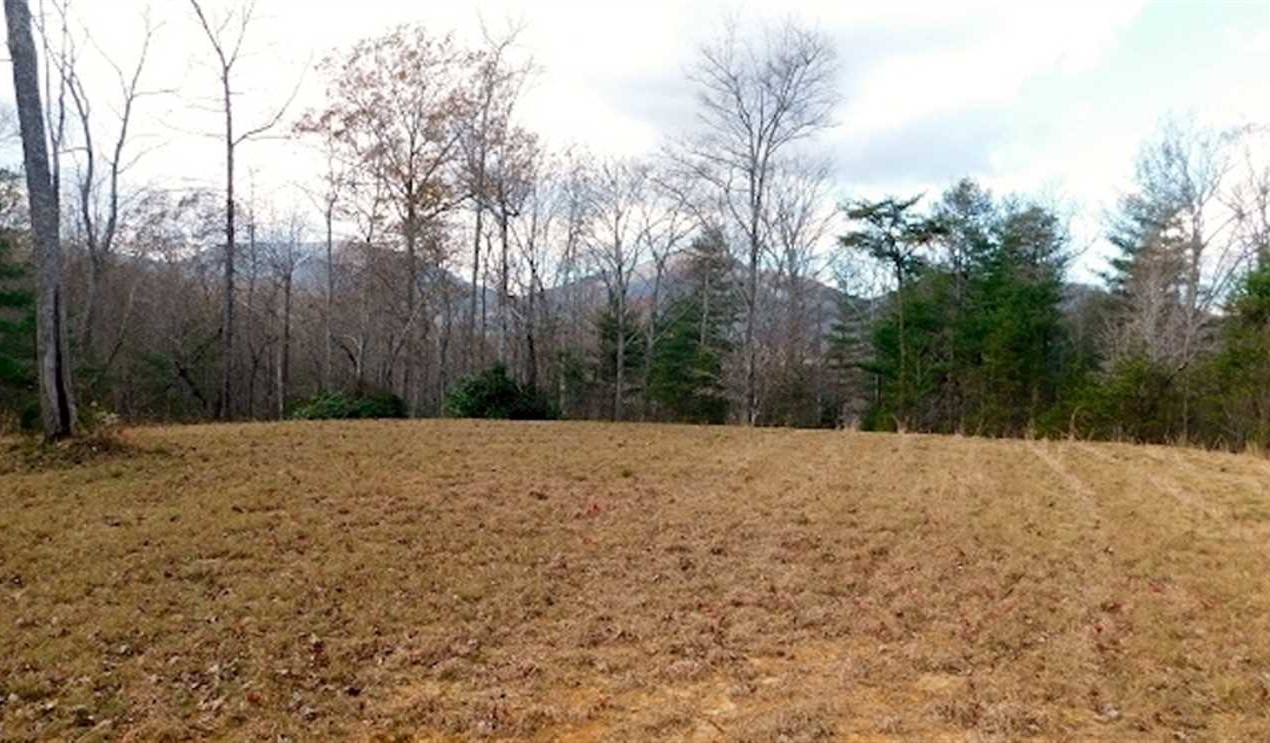 Property for sale at 1415 Peters Creek Rd