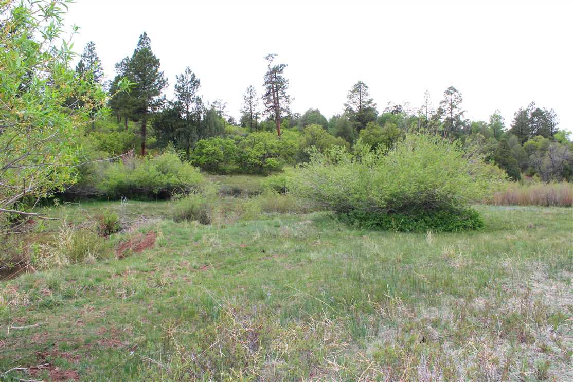 rio arriba County, New Mexico property for sale
