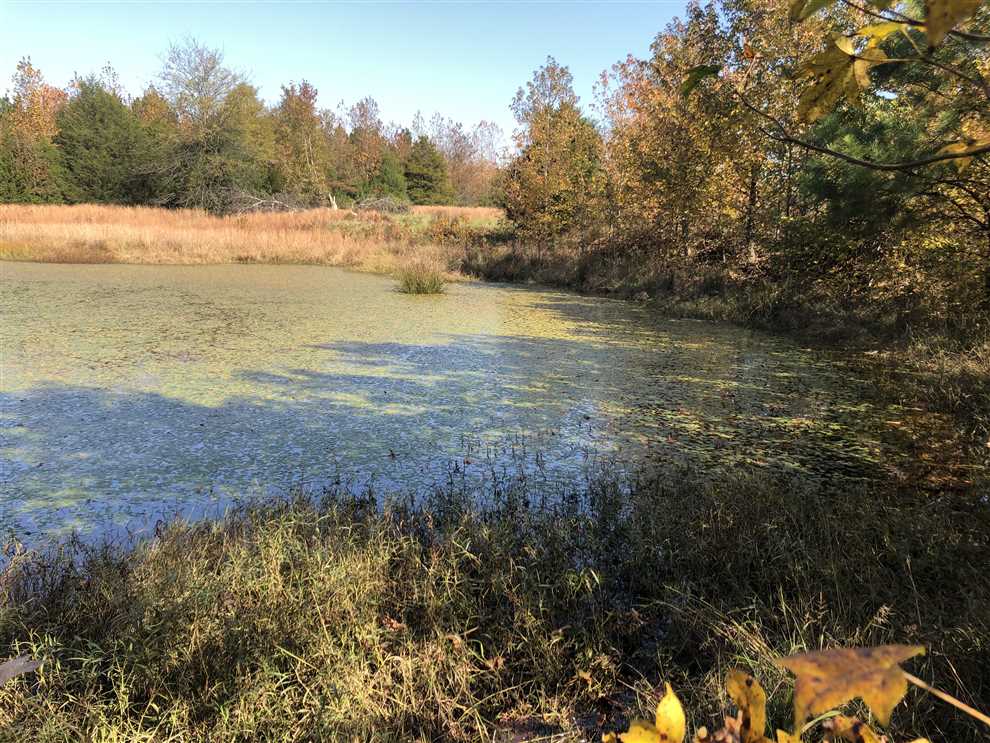 property for sale on The Land Market