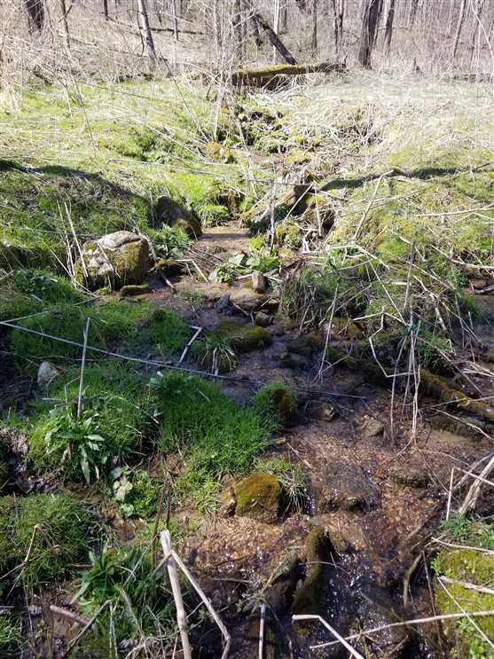 80+/- Acre Rare Land Tract In Bryson City! Real estate listing