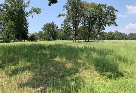 11.6 Acres of Land for Sale in white County Arkansas