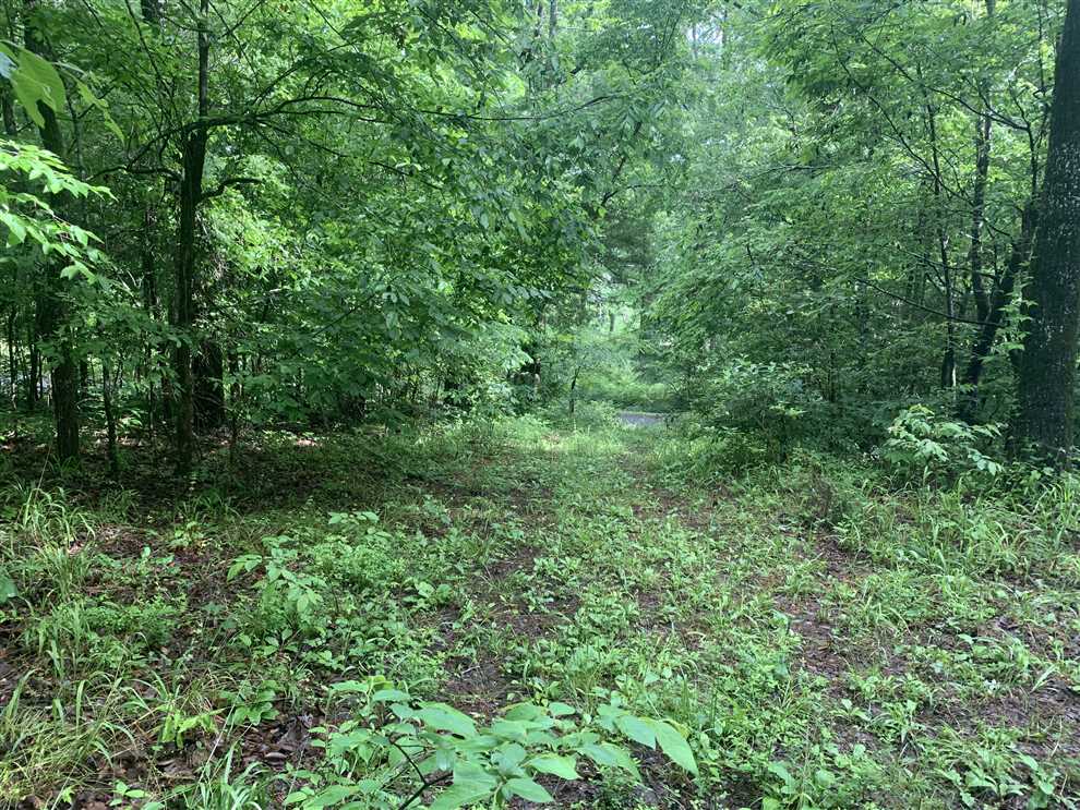 0.47 Acres of Residential land for sale in Pangburn, cleburne County, Arkansas