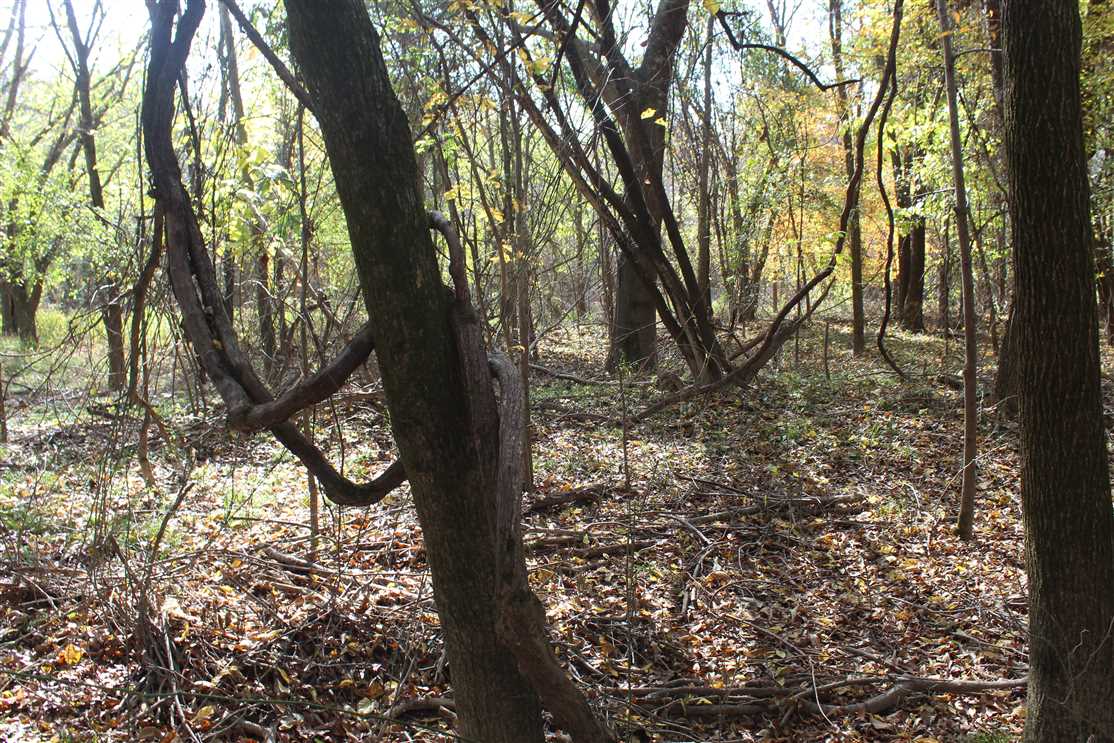 pushmataha County, Oklahoma property for sale