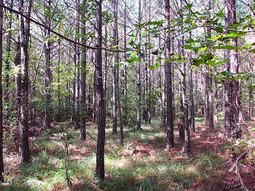 Land for sale to buy in 23866 zip code