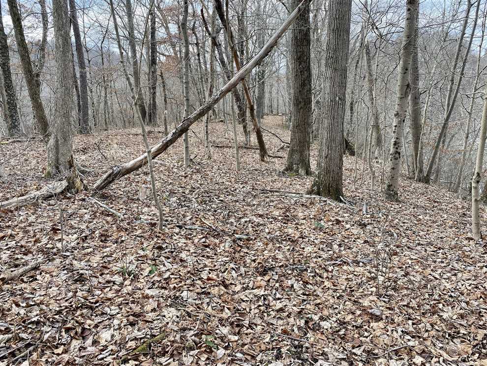 44 Acres of Recreational land for sale in Daisytown, washington County, Pennsylvania