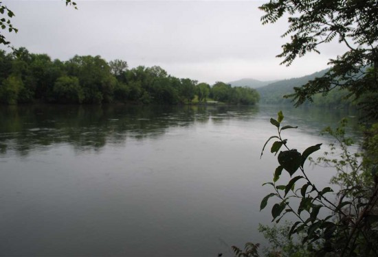211.21 Acres of Land for Sale in stone County Arkansas