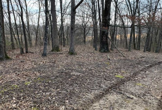 143 Acres of Land for Sale in jackson County Arkansas