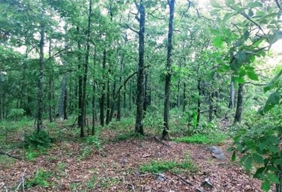 10 Acres of Land for Sale in pushmataha County Oklahoma