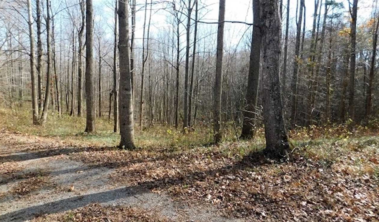 19.32 Acres of Land for sale in bedford County, Virginia