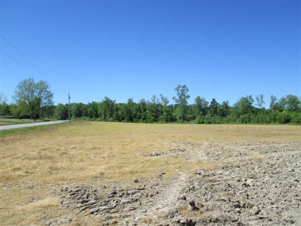 13 Acres - Great Opportunity for Home Site and Hunting in Rural Suffolk Virginia! Real estate listing