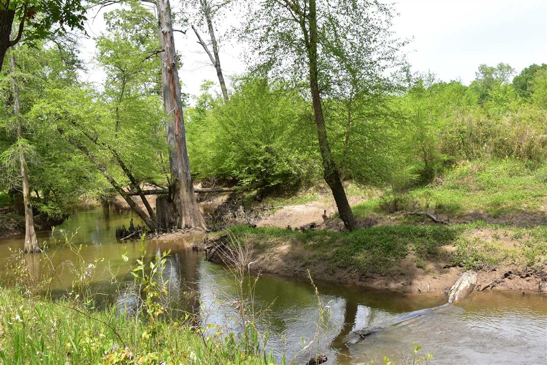 Recreational real estate available to buy
