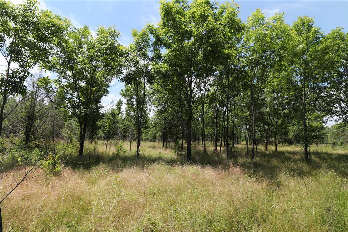 5 Acres of Residential land for sale in Des Arc, prairie County, Arkansas