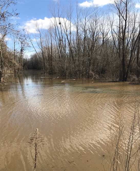 662.41 Acres of Recreational land for sale in Ashdown, little river County, Arkansas