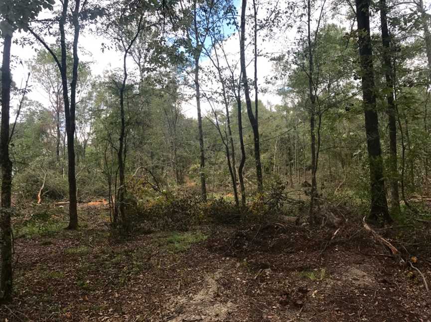 Recreational and   property for sale on The Land Market